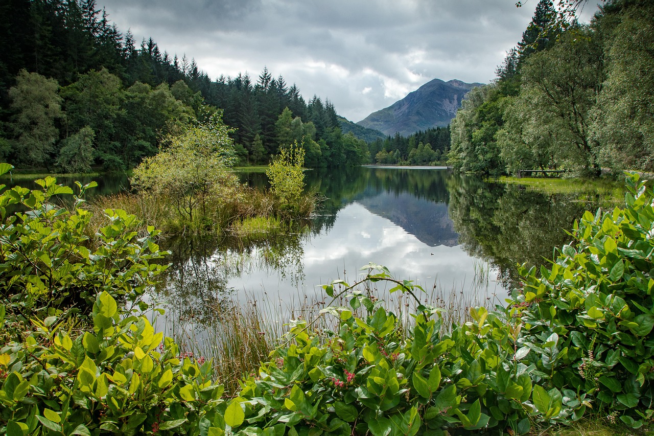 découvrez les services et expertises de ce ergalis, votre partenaire de confiance pour le recrutement et l’intérim, au service des entreprises et des candidats dans tous les secteurs d’activité.