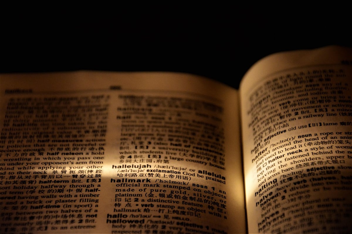 mc shopen : quelles sont les langues proposées pour 2025 ?