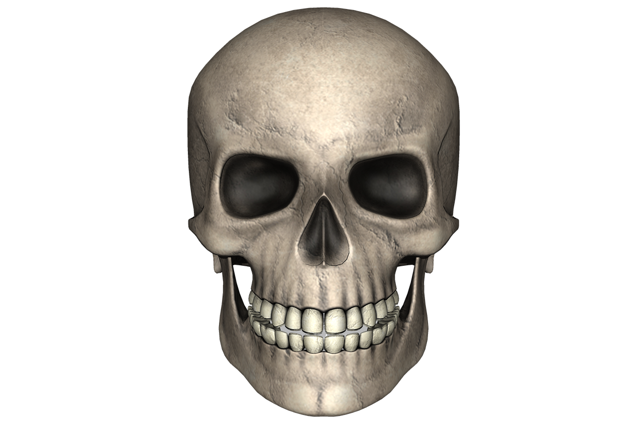 mc shopen : top des produits les plus populaires à découvrir en 2025