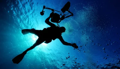 plongée sous marine