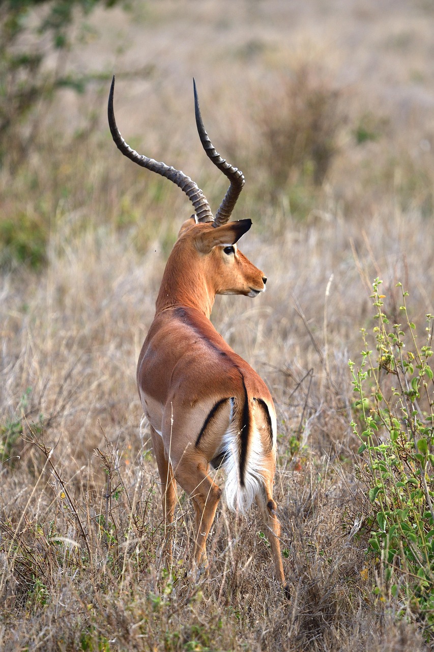 Quelles subventions pour les activités jeunesse au CE Ergalis en 2025 ?