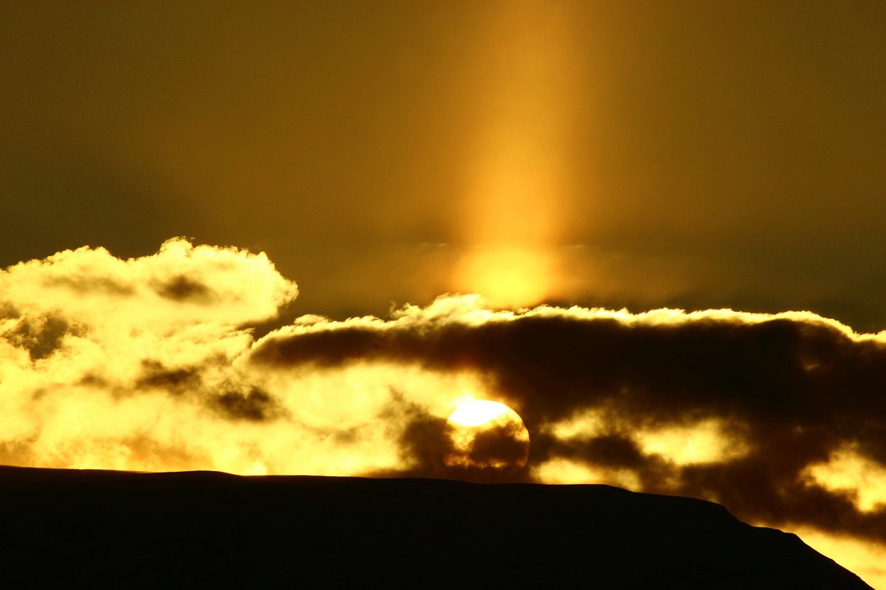 mc shopen : astuces pour filtrer et trouver rapidement le bon produit