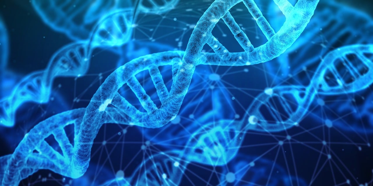 découvrez les dernières tendances et actualités en matière d'innovation, des idées révolutionnaires aux technologies émergentes qui transforment notre quotidien.