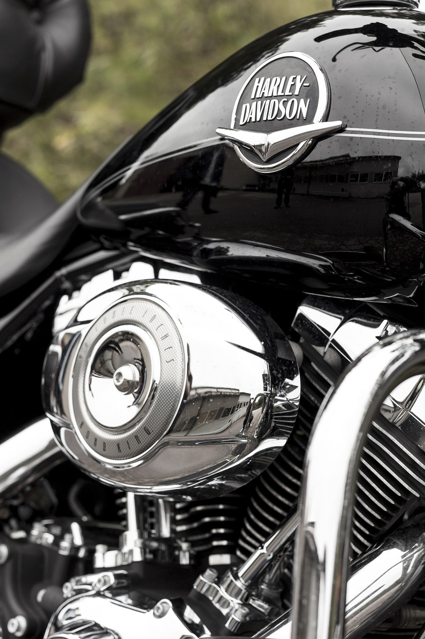 d&eacute;couvrez mc shopen, votre destination en ligne pour des produits vari&eacute;s et de qualit&eacute; &agrave; prix comp&eacute;titifs. profitez d&rsquo;une exp&eacute;rience d&rsquo;achat simple et s&eacute;curis&eacute;e sur mc shopen !